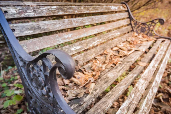 Bench in the Park in autumn. — Stock Photo, Image