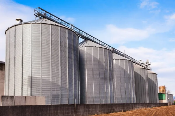 Silos agrícolas no céu azul . — Fotografia de Stock