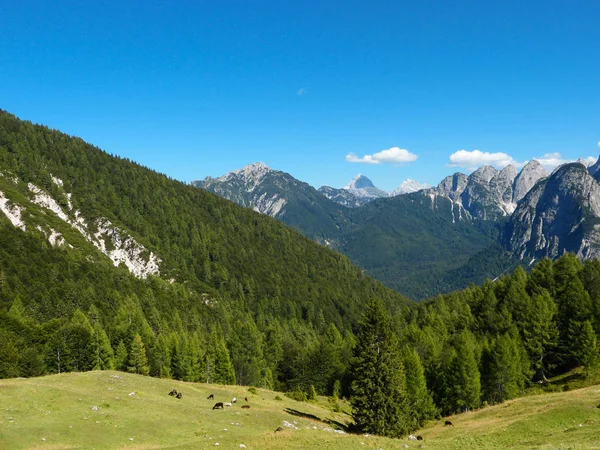Berglandschap. Italiaanse Alpen — Stockfoto