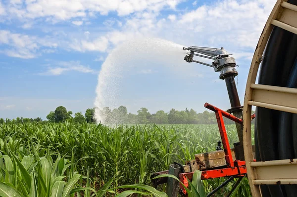 Instalación de aspersores de agua en un campo de maíz. — Foto de Stock