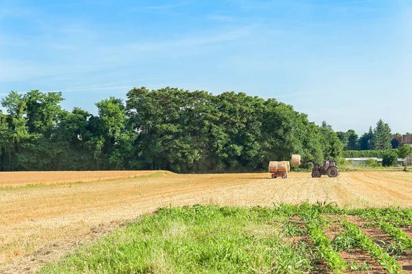 Landwirt bewegt Heuballen mit Traktor. — Stockfoto