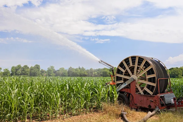 Water sprinkler installation in a field of corn. — Stock Photo, Image