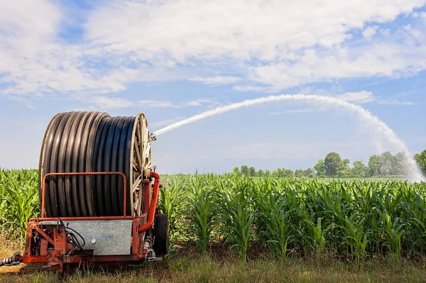 Instalación de aspersores de agua en un campo de maíz. — Foto de Stock