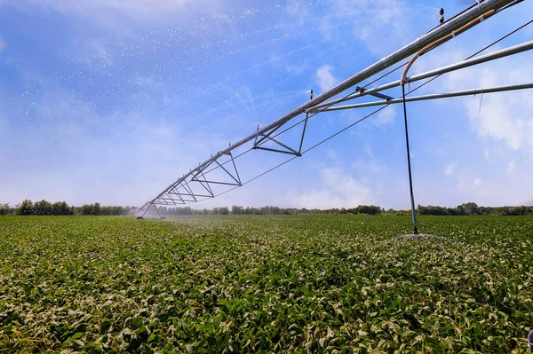 Sistema automatizado de aspersores de riego agrícola sobre fibra cultivada — Foto de Stock