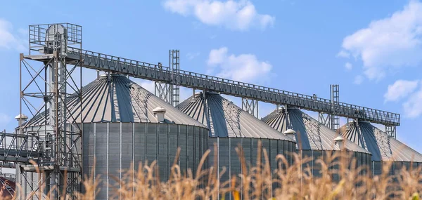 Agrarische opslag silo's. Landelijke scène. — Stockfoto