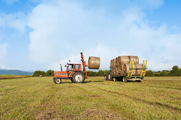 Mezőgazdasági jelenet. Traktor emelés szénabála a talicska. — Stock Fotó