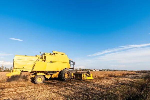 Cosecha del campo de soja con cosechadora. — Foto de Stock