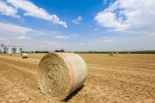 Hay bales in the field, on the background agricultural silos. — Stock Photo, Image