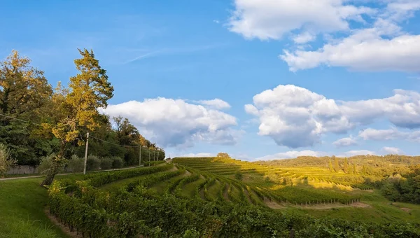 Bulutlar ile bağ ve bleu gökyüzü manzara. — Stok fotoğraf