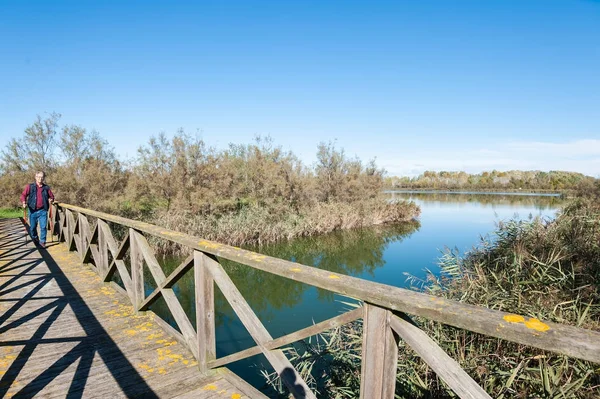 Senderista (60 años) en una pasarela de madera  . — Foto de Stock