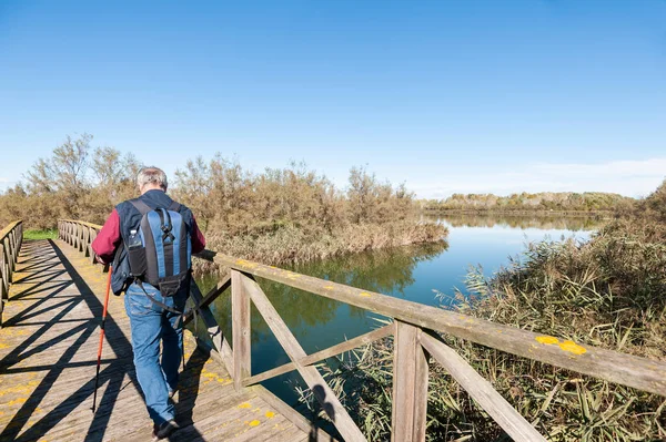 Senderista (60 años) en una pasarela de madera  . — Foto de Stock