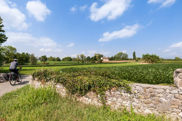 Countryside krajobraz w lecie z rowerzystą. — Zdjęcie stockowe