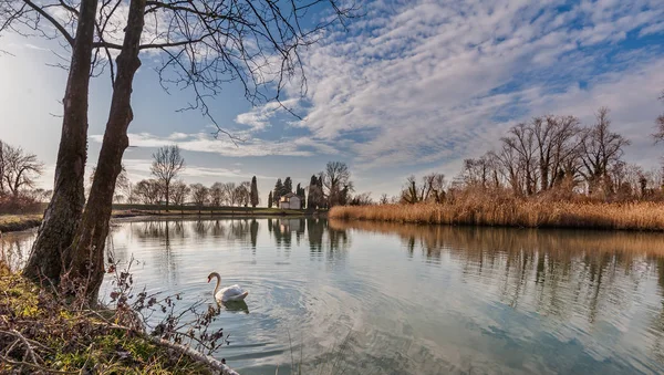 Paisaje Rural Lago Con Cañas Árboles Iglesia Rural Reflexión Cisne — Foto de Stock