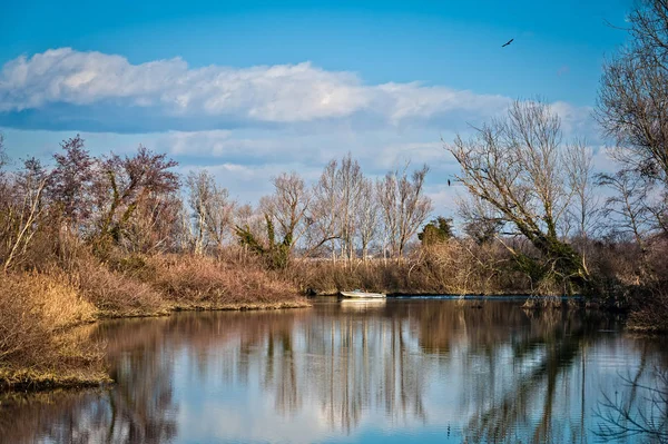 Escena Natural Lago Barco Árboles Cañas Cormoranes Contra Cielo Azul — Foto de Stock