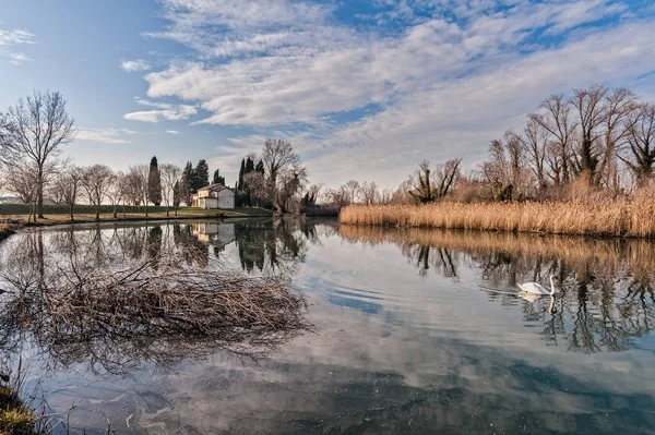 Paesaggio naturale con lago, chiesa e cigno . — Foto Stock