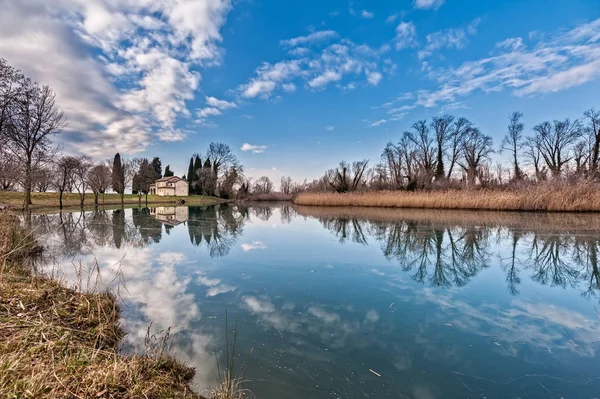 Paisaje rural. Lago con caña de árboles . — Foto de Stock