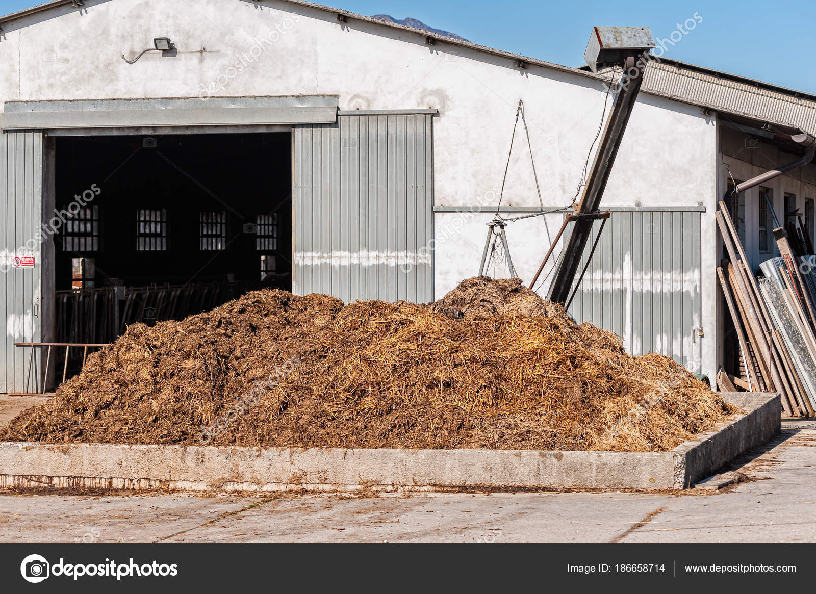 Cow Manure That Will Be Used To Fertilize Stock Photo