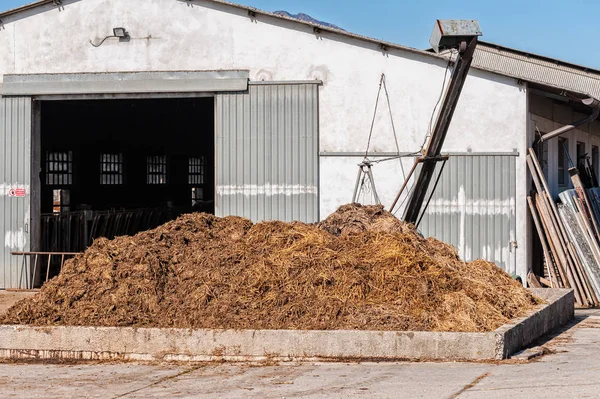 Estiércol de vaca que se utilizará para fertilizar . — Foto de Stock