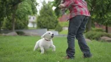 Okşayarak ve evde beslenen hayvan hayvan arkadaşı sarılma çocuk. Bahar park köpeğiyle oynayan küçük çocuk.