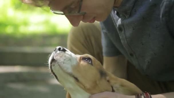 Junger Mann geht mit seinem Hund im Sommerpark spazieren. Mann tätschelt Hund im Wald. — Stockvideo