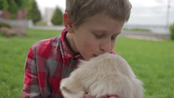 Criança acariciando e abraçando seu amigo animal de estimação. Menino brincando com seu cachorro no parque primaveril . — Vídeo de Stock