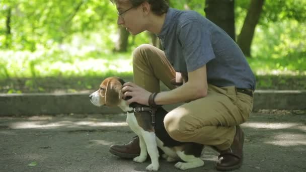 夏の公園で彼の犬を連れて歩いて若い男。男は森の犬を撫でてください。. — ストック動画