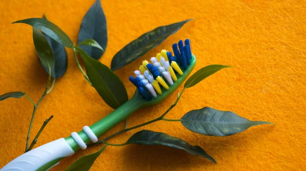 Cepillo Dientes Verde Hojas Verdes Sobre Fondo Naranja Cuidado Salud —  Fotos de Stock