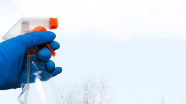 Cam silici. Mavi eldivenli bir kadın eli deterjanı pencereye sprey şeklinde yönlendirir. Bahar temizliği. Odanın dezenfeksiyonu. Metin için yer.