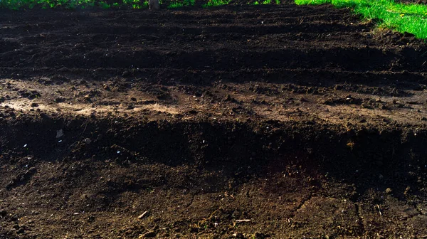 Campo inundado con camas de jardín sembradas en primavera. Cultivar verduras y hierbas en el jardín. Actividad agrícola. Vista horizontal de la perspectiva . — Foto de Stock