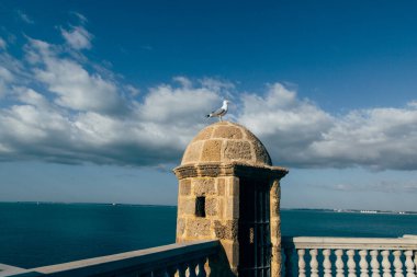  Martı, Avrupa 'nın tarihi mimarisi kıyı rıhtımında geziniyor.