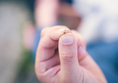 Bir adam elinde sivrisinek tutuyor, parmaklarını mavi bir tonda hareket ettiriyor, yakın plan.