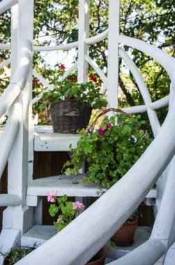 yeşil çiçekler merdivenlerde