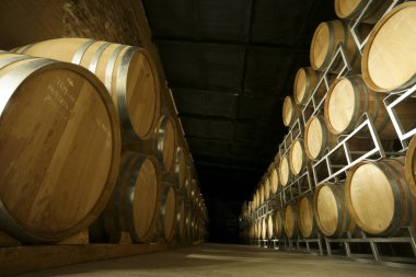 Kilerde beyaz şarap fıçıları, kırmızı, gül, bira, viski. şarap ve tarım