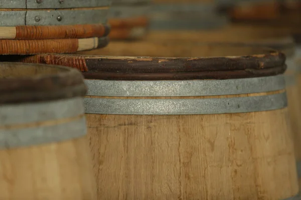 Kilerde Beyaz Şarap Fıçıları Kırmızı Gül Bira Viski Şarap Tarım — Stok fotoğraf