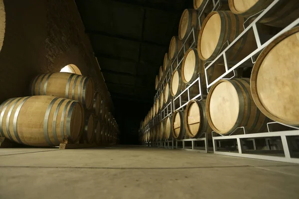 Bodega Con Barriles Vino Blanco Tinto Rosa Cerveza Whisky Vino —  Fotos de Stock