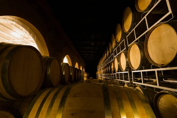 Adega Com Barris Vinho Branco Tinto Rosa Cerveja Uísque Vinho — Fotografia de Stock