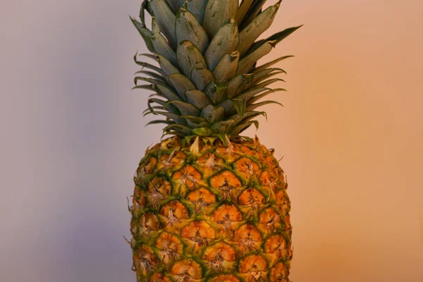 İki farklı arka plan ışığı olan ananas..