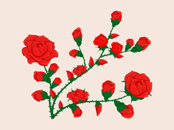 Τριαντάφυλλο υποκατάστημα με τα μπουμπούκια — Διανυσματικό Αρχείο