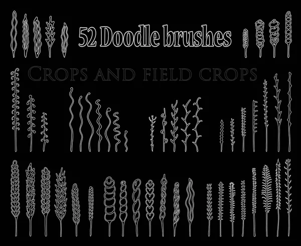 Doodle kümesi spikelets ve çim ve twi şeklinde fırçalar — Stok Vektör
