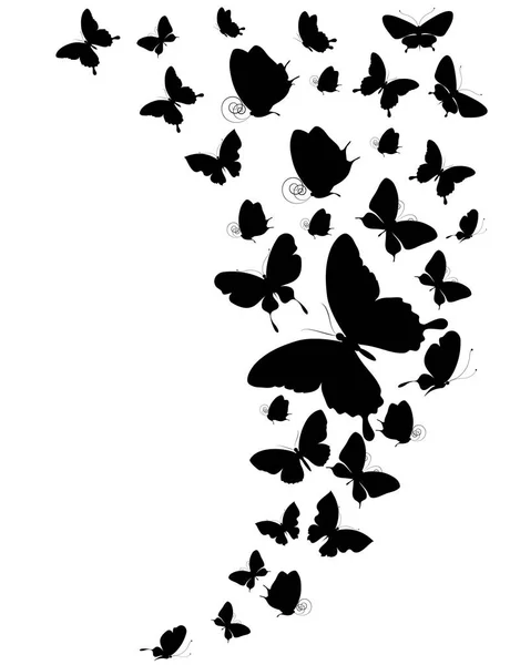 Mariposa negra, aislada sobre un blanco —  Fotos de Stock
