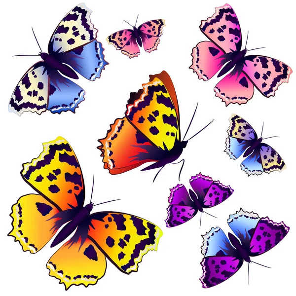 Beautiful color butterflies,set, isolated  on a white — Stock Photo, Image