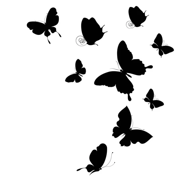 검은 나비는 흰색 절연 — 스톡 사진