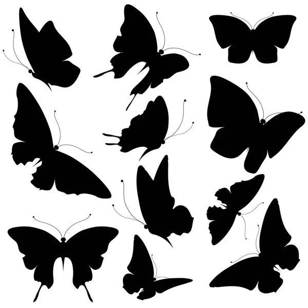 Black butterfly, isolated on a white — Stock Photo, Image