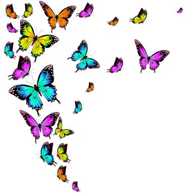 güzel renkli kelebekler, set, beyaz izole