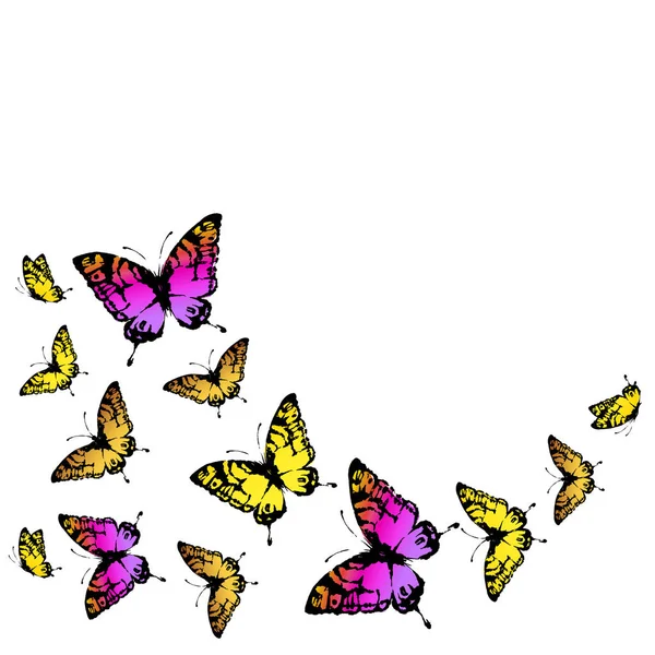 Vacker färg fjärilar, uppsättning, isolerad på en vit — Stockfoto