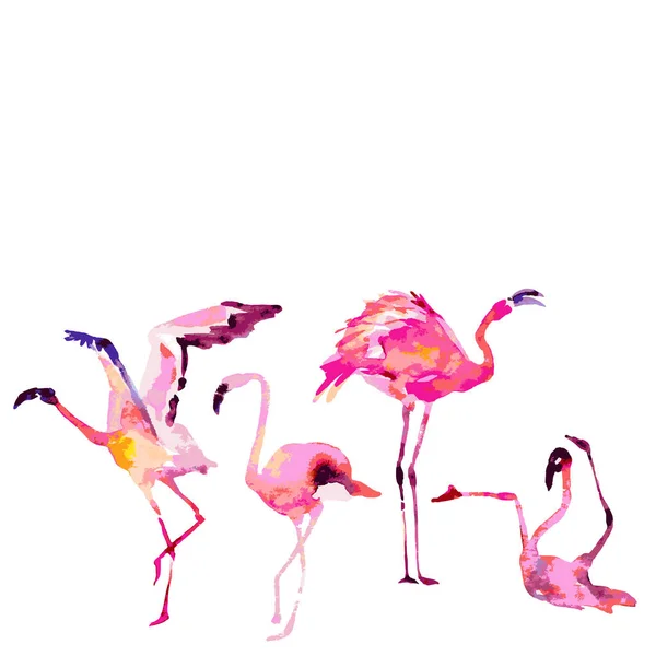 Schöne Flamingos, isoliert auf einem weißen. Großes Set. — Stockfoto