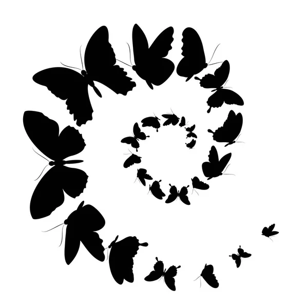 검은 나비는 흰색 절연 — 스톡 사진