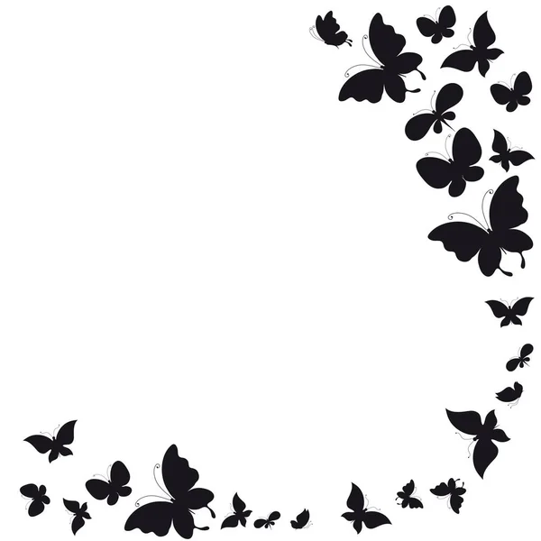 黒蝶は、白で隔離 — ストック写真