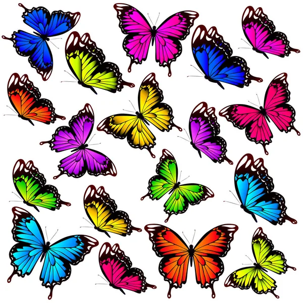 Güzel renkli kelebekler, set, beyaz izole — Stok fotoğraf