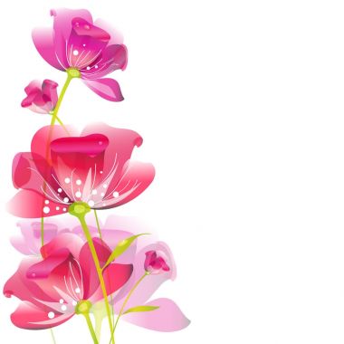 beautiful pink flowers , on a white clipart